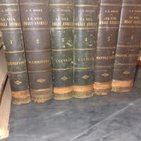 Antica Enciclopedia sugli Animali 1869/1873