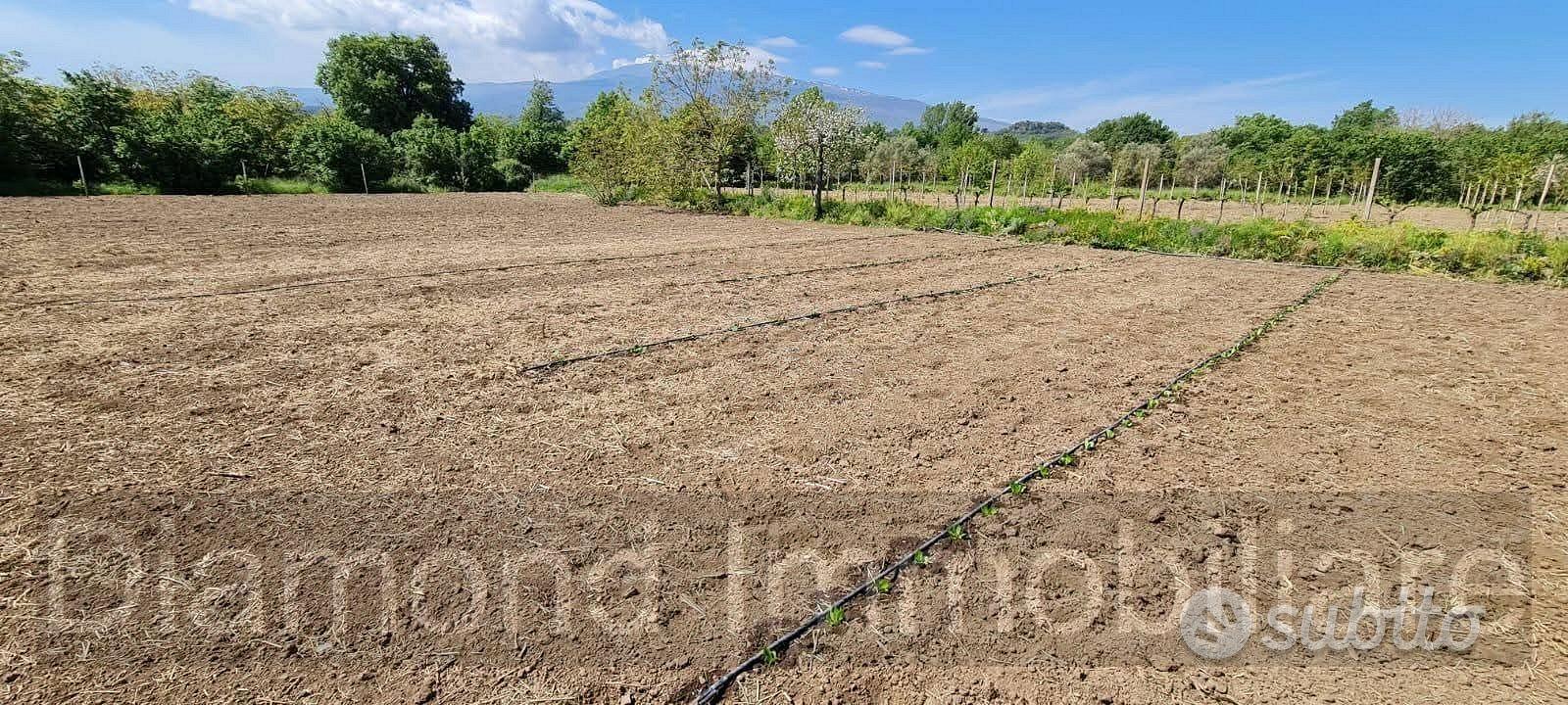 Terreno con rustico a Castiglione di Sicilia - Vista 3