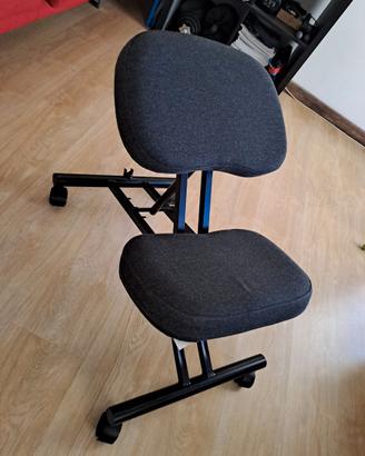 Sedia ergonomica EIFRED IKEA