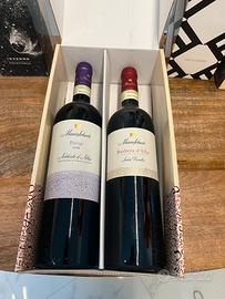 Coppia bottiglie di vino