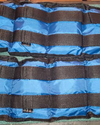 coppia cavigliere 1 kg l'una, pesi regolabili