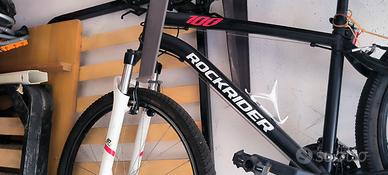 bicicletta da uomo 