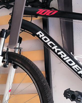 bicicletta da uomo 
