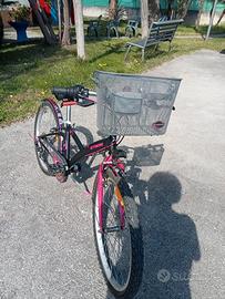 bicicletta bwind 