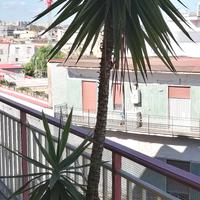 Pianta Felicità Yucca con vaso