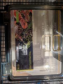 Fauna box exoterra