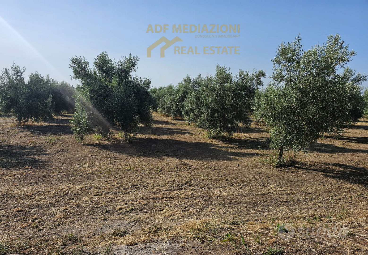 4H.Di Uliveto Con Terreno - Vista 3