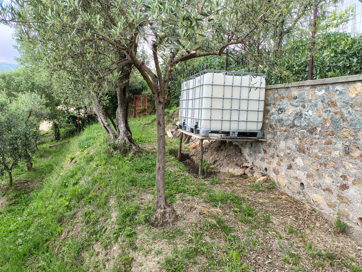 Terreno agricolo/uliveto - Vista 2