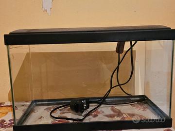 Acquario 20litri