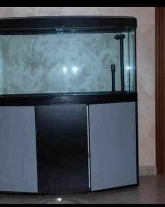 Acquario
