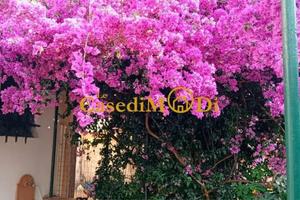 Immobile di 60 m² con 1 locale a Livorno