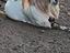 Immagine 3