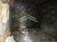 Immagine 14