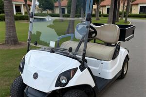 Veicolo Elettrico Yamaha Drive 2 Bianco