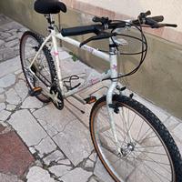 MTB Acciaio Bianchi anni 90