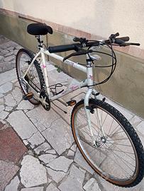 MTB Acciaio Bianchi anni 90