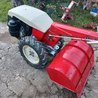 carrarino 510 diesel