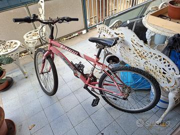 🔴 Bici MTB Faema Rosa Vintage + catena ⛓️