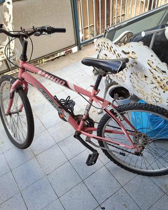 🔴 Bici MTB Faema Rosa Vintage + catena ⛓️