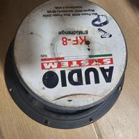 Casse audio 20 cm entra  leggi