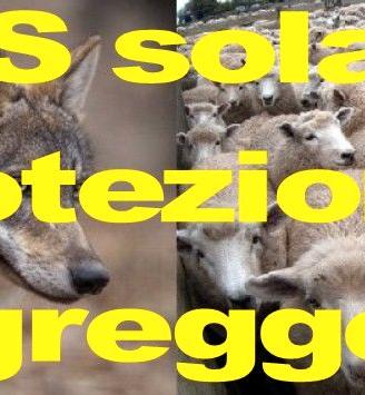 Controllo da remoto mucche e animali da pascolo