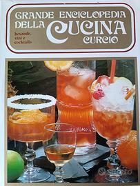 Enciclopedia cucina – Bevande, vini e cocktails