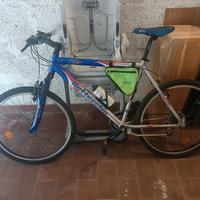 bicicletta Bottecchia misura 26