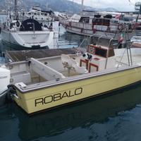 Robalo 2520 Walkaround Open 46 ore moto 2025 300HP