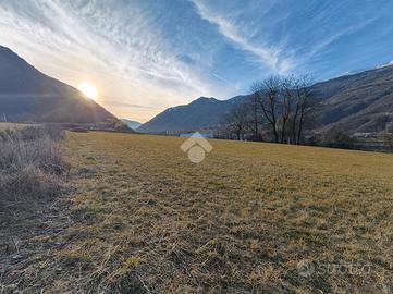 TER. AGRICOLO A BORGO VALSUGANA