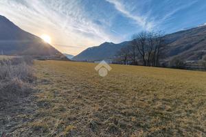 TER. AGRICOLO A BORGO VALSUGANA