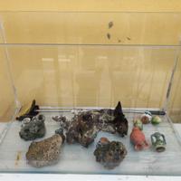 Acquario con accessori