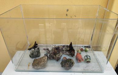Acquario con accessori