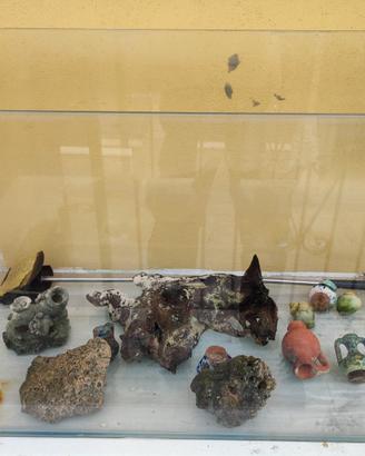 Acquario con accessori