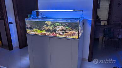 acquario marino