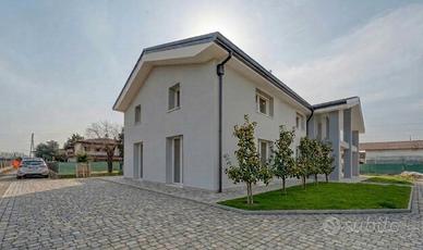 Porzione di testa Masera di Padova