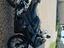 Immagine 5