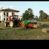 Fieno per animali o pacciamatura