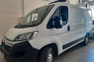 Furgone per trasporto surgelati -20°