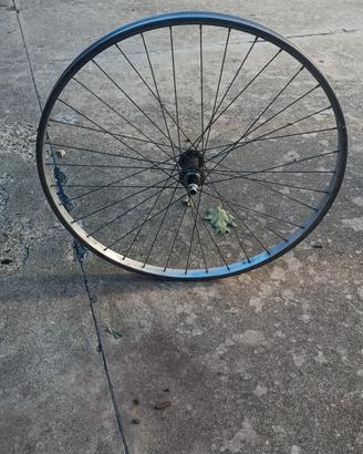 Ruota Anteriore Bici 26 Pollici
