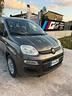 fiat-panda