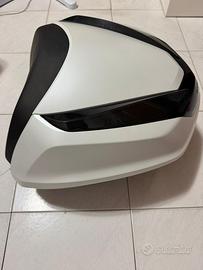 bauletto sh sport 2024