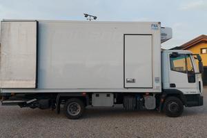 Eurocargo 100 E18 E5 cella frigo ATP con SPONDA id