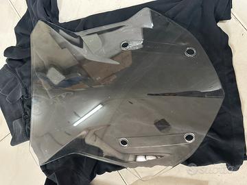 Cupolino per Bmw rgs 1250 adv