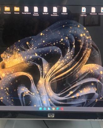 HP w2207 Monitor 22