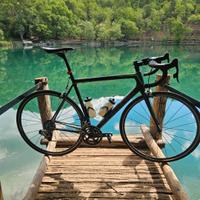 Focus izalco max 2018 taglia L