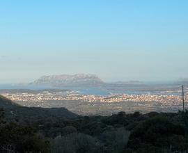 Olbia terreno in località Muddizza Piana