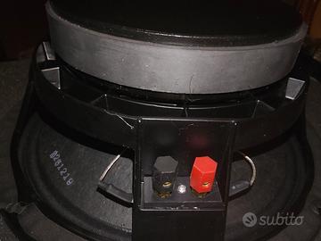 woofer da 10 pollici (coppia )