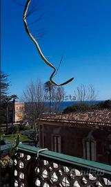 stanza singola matrim appartamento vista mare