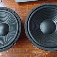 Woofer hifi Philips 25cm  8ohm, 150w