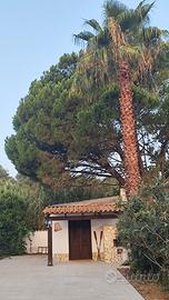 Casa mare natura
